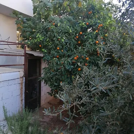 Ruya Daire 2 * Manavgat