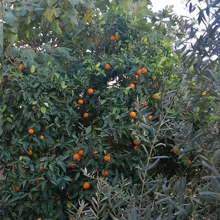 Ruya Daire 2 Διαμέρισμα